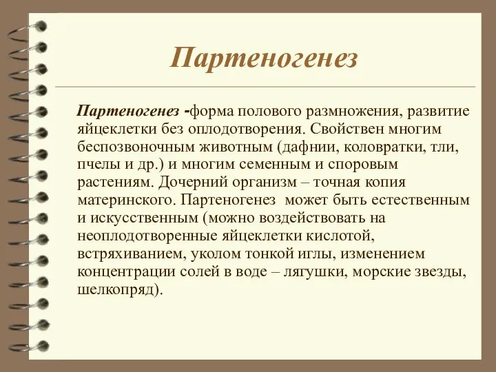 Партеногенез Партеногенез -форма полового размножения, развитие яйцеклетки без оплодотворения. Свойствен многим