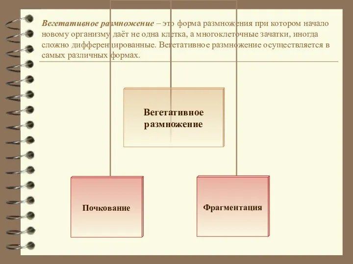 Вегетативное размножение – это форма размножения при котором начало новому организму