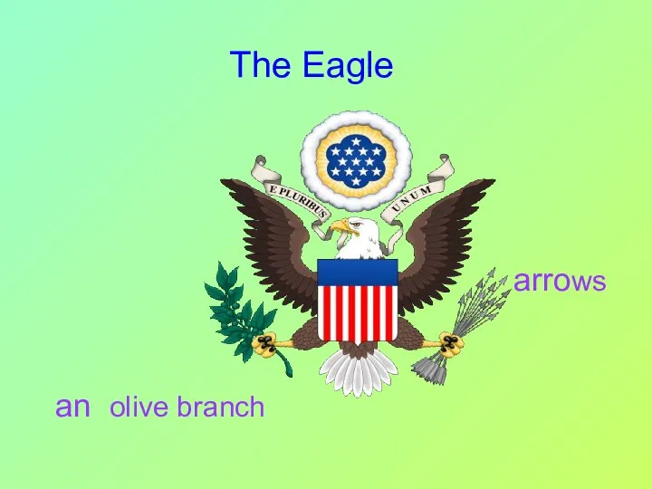 an olive branch arrows The Eagle