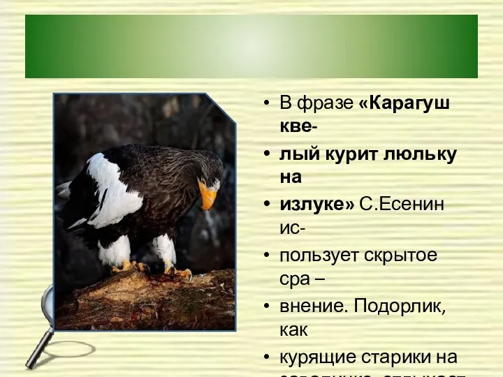 В фразе «Карагуш кве- лый курит люльку на излуке» С.Есенин ис-