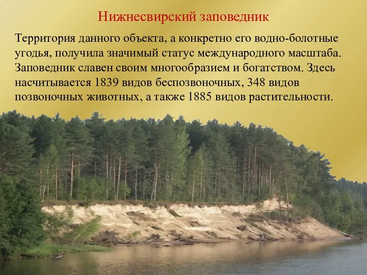 Нижнесвирский заповедник Территория данного объекта, а конкретно его водно-болотные угодья, получила