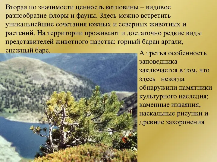 Вторая по значимости ценность котловины – видовое разнообразие флоры и фауны.