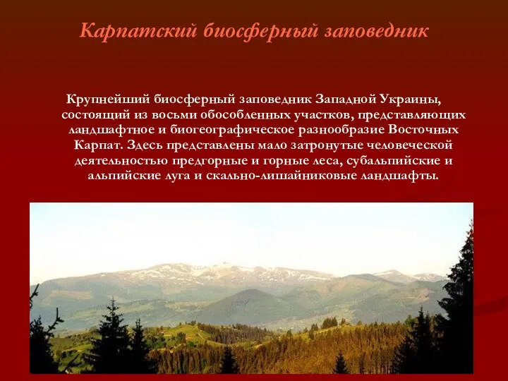 Карпатский биосферный заповедник Крупнейший биосферный заповедник Западной Украины, состоящий из восьми