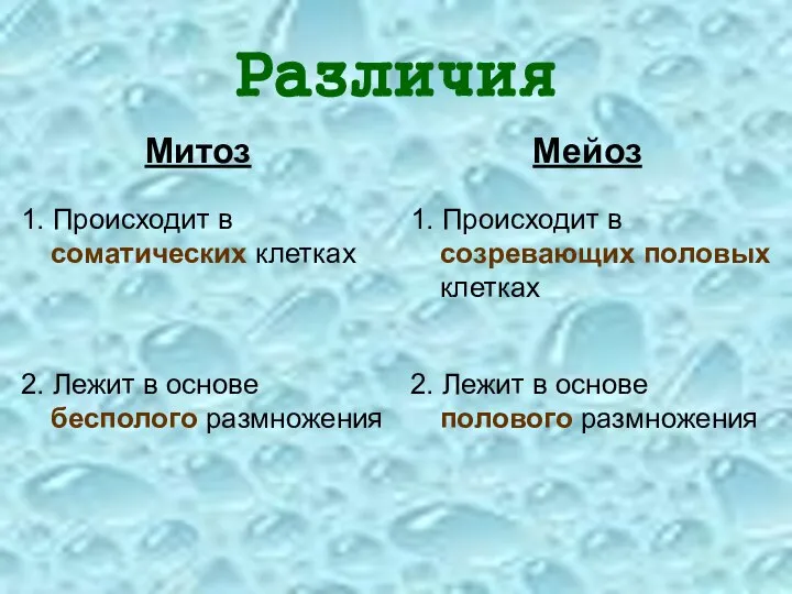 Различия Митоз Мейоз 1. Происходит в соматических клетках 1. Происходит в