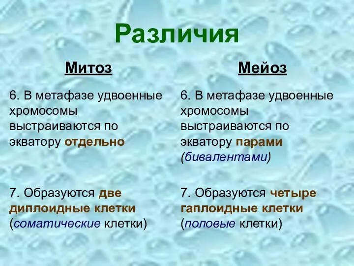 Различия Митоз Мейоз 6. В метафазе удвоенные хромосомы выстраиваются по экватору