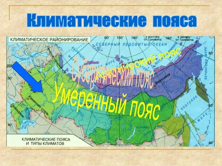 Арктический пояс Субарктический пояс Умеренный пояс Климатические пояса