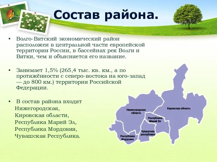 Состав района. Волго-Вятский экономический район расположен в центральной части европейской территории