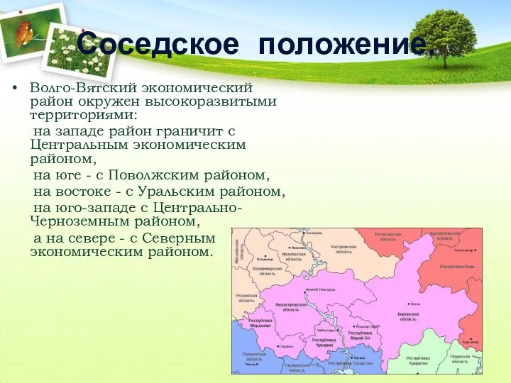 Соседское положение. Волго-Вятский экономический район окружен высокоразвитыми территориями: на западе район