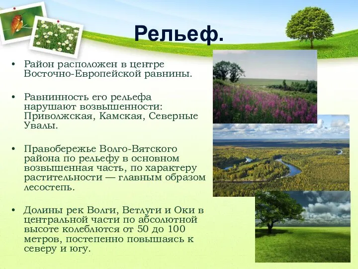 Рельеф. Район расположен в центре Восточно-Европейской равнины. Равнинность его рельефа нарушают