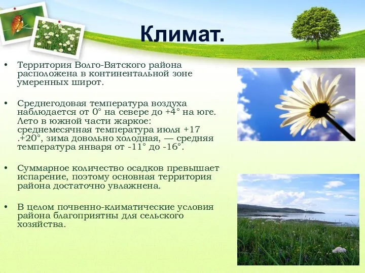 Климат. Территория Волго-Вятского района расположена в континентальной зоне умеренных широт. Среднегодовая