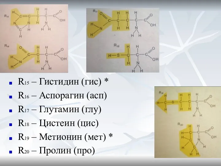 R15 – Гистидин (гис) * R16 – Аспорагин (асп) R17 –