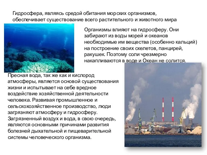 Гидросфера, являясь средой обитания морских организмов, обеспечивает существование всего растительного и