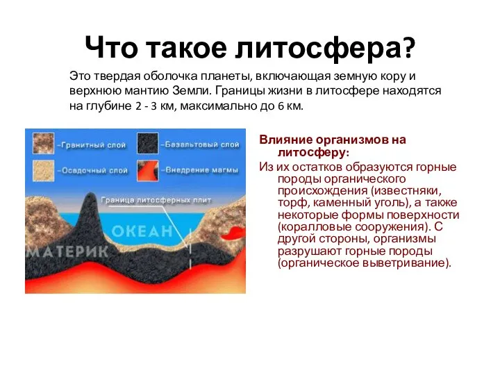 Что такое литосфера? Влияние организмов на литосферу: Из их остатков образуются