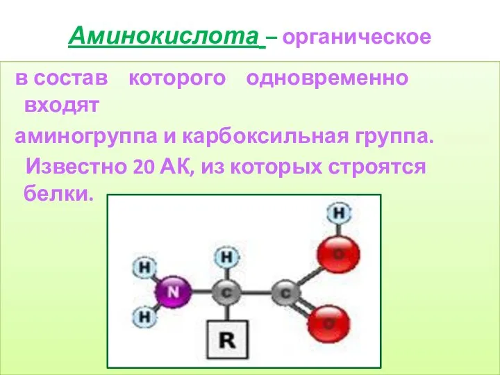 Аминокислота – органическое вещество, в состав которого одновременно входят аминогруппа и