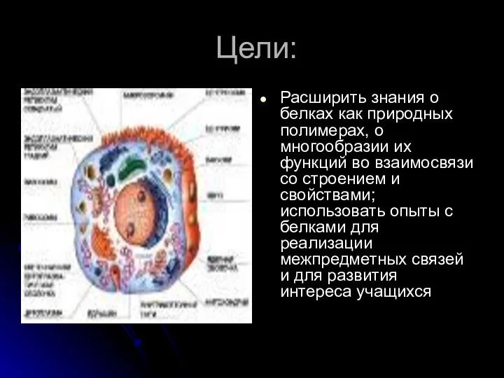 Цели: Расширить знания о белках как природных полимерах, о многообразии их