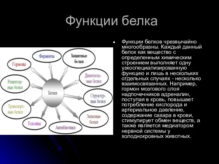 Функции белка Функции белков чрезвычайно многообразны. Каждый данный белок как вещество