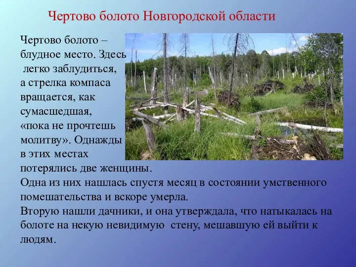 Чертово болото Новгородской области Чертово болото – блудное место. Здесь легко