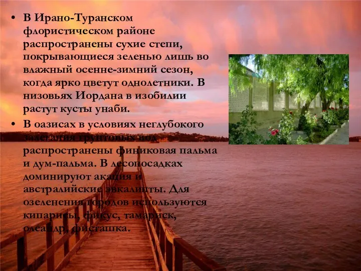 В Ирано-Туранском флористическом районе распространены сухие степи, покрывающиеся зеленью лишь во