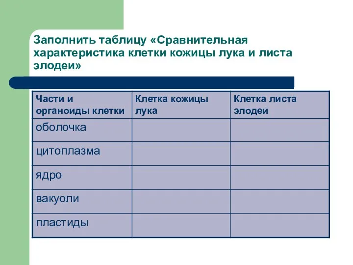 Заполнить таблицу «Сравнительная характеристика клетки кожицы лука и листа элодеи»