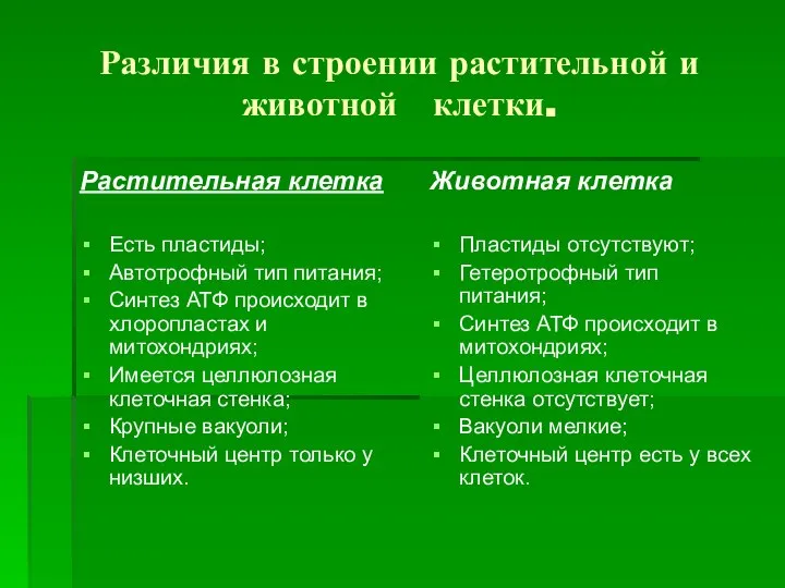 Различия в строении растительной и животной клетки. Растительная клетка Есть пластиды;