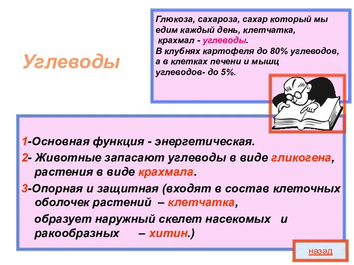 Глюкоза, сахароза, сахар который мы едим каждый день, клетчатка, крахмал -