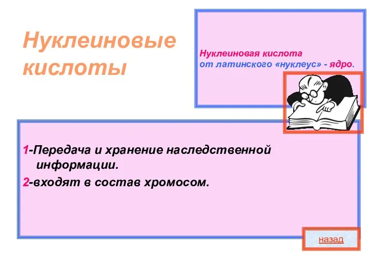 Нуклеиновая кислота от латинского «нуклеус» - ядро. Нуклеиновые кислоты 1-Передача и