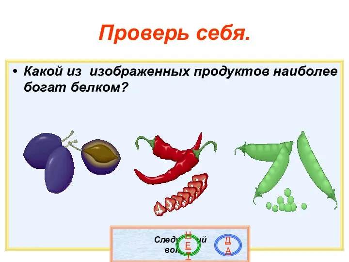 Проверь себя. Какой из изображенных продуктов наиболее богат белком? Следующий вопрос ДА НЕТ