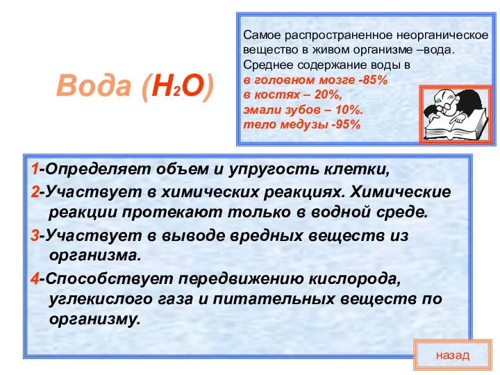 Самое распространенное неорганическое вещество в живом организме –вода. Среднее содержание воды