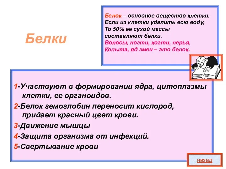 Белок – основное вещество клетки. Если из клетки удалить всю воду,