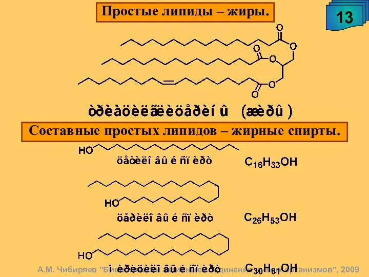 А.М. Чибиряев "Биологически активные соединения живых организмов", 2009 13 Простые липиды