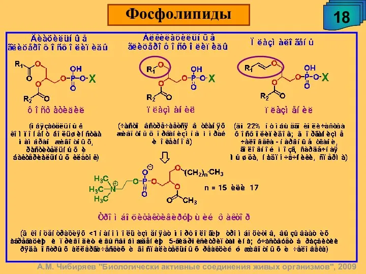 18 Фосфолипиды А.М. Чибиряев "Биологически активные соединения живых организмов", 2009