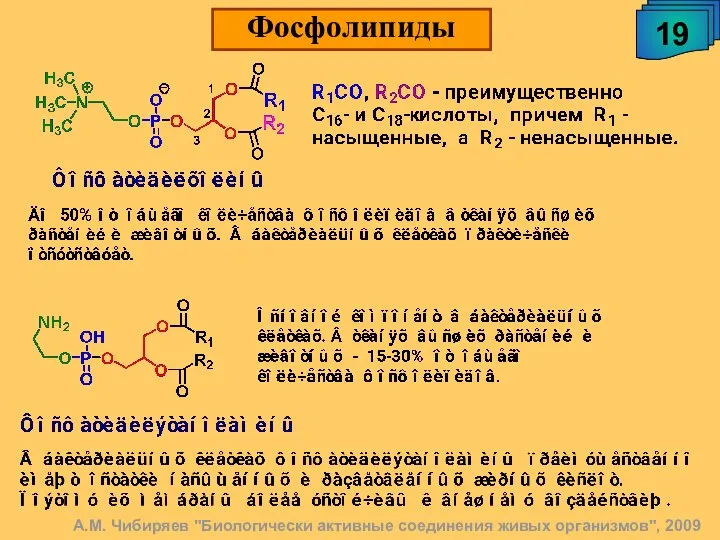 А.М. Чибиряев "Биологически активные соединения живых организмов", 2009 19 Фосфолипиды