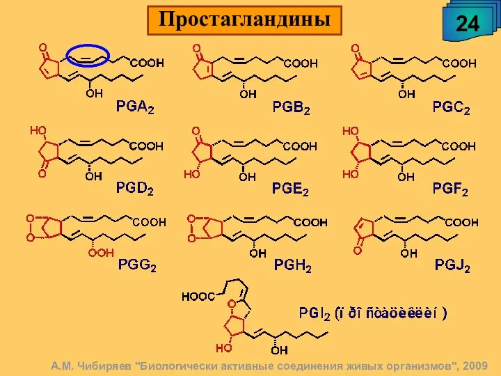 А.М. Чибиряев "Биологически активные соединения живых организмов", 2009 24 Простагландины
