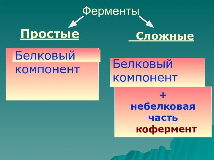 Ферменты Простые . Сложные