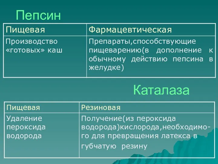 Пепсин Каталаза