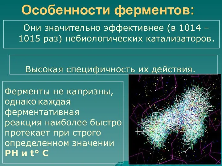 Они значительно эффективнее (в 1014 – 1015 раз) небиологических катализаторов. Высокая