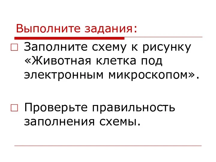 Заполните схему к рисунку «Животная клетка под электронным микроскопом». Проверьте правильность заполнения схемы. Выполните задания: