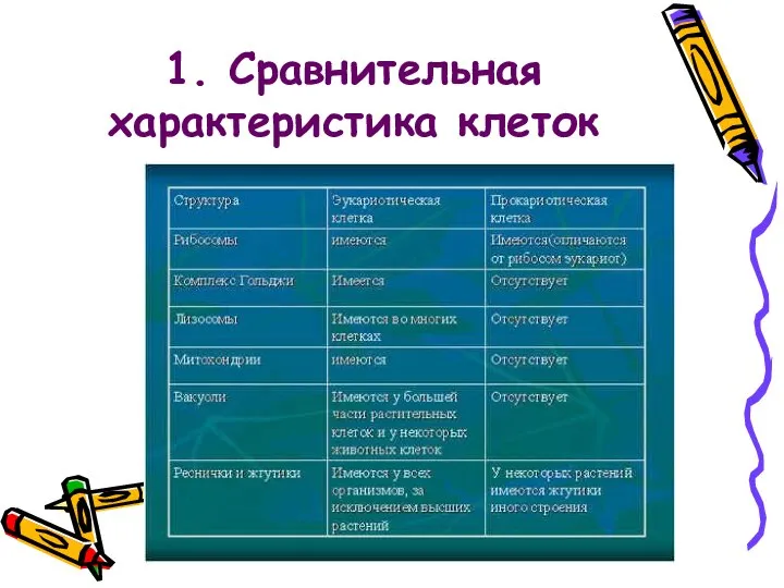 1. Сравнительная характеристика клеток