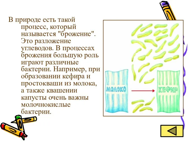 В природе есть такой процесс, который называется "брожение". Это разложение углеводов.