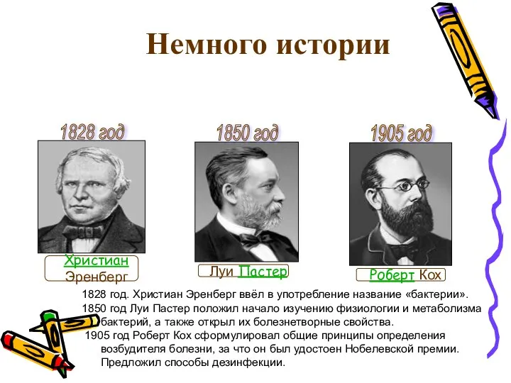 Немного истории 1828 год. Христиан Эренберг ввёл в употребление название «бактерии».