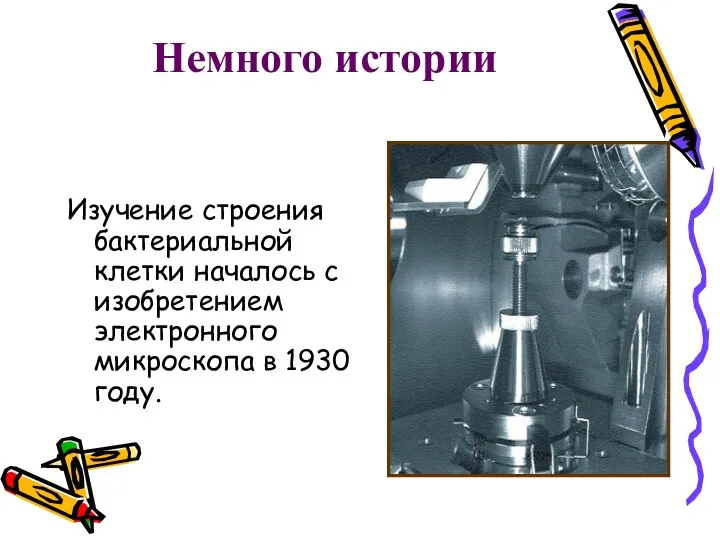 Немного истории Изучение строения бактериальной клетки началось с изобретением электронного микроскопа в 1930 году.