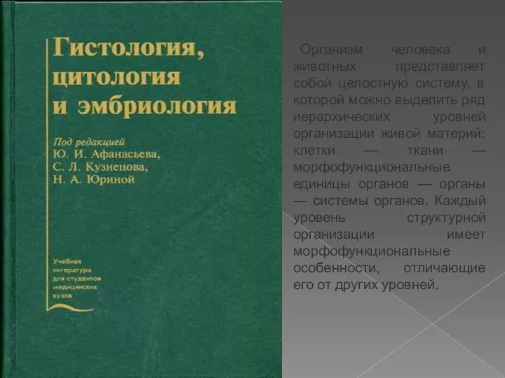 Организм человека и животных представляет собой целостную систему, в которой можно