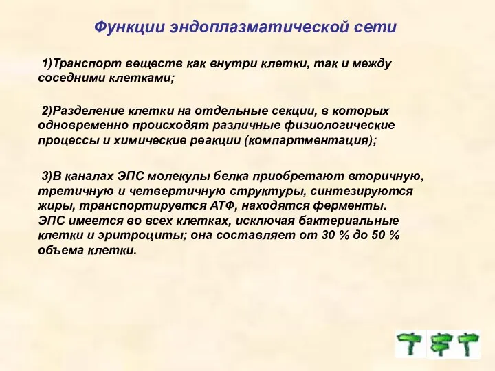 Функции эндоплазматической сети 1)Транспорт веществ как внутри клетки, так и между