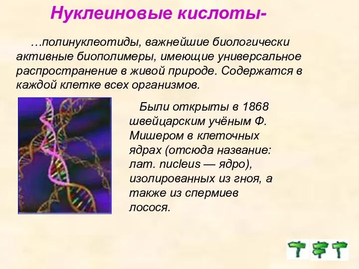 Нуклеиновые кислоты- …полинуклеотиды, важнейшие биологически активные биополимеры, имеющие универсальное распространение в