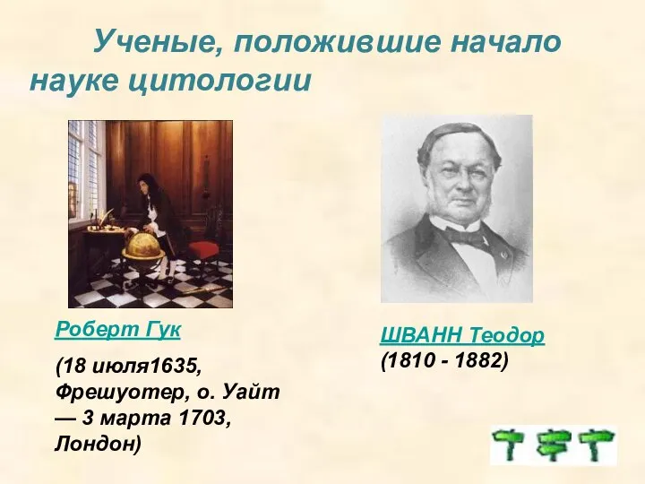 Ученые, положившие начало науке цитологии Роберт Гук (18 июля1635, Фрешуотер, о.