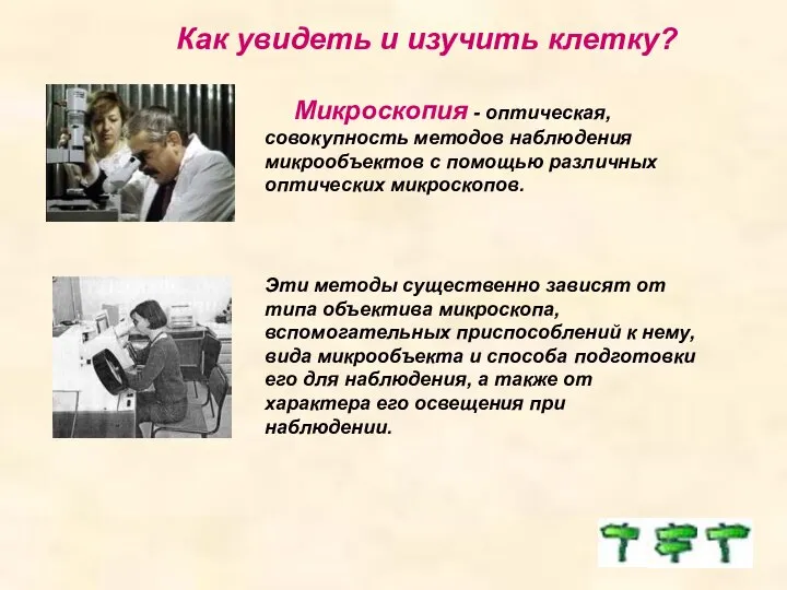 Как увидеть и изучить клетку? Микроскопия - оптическая, совокупность методов наблюдения