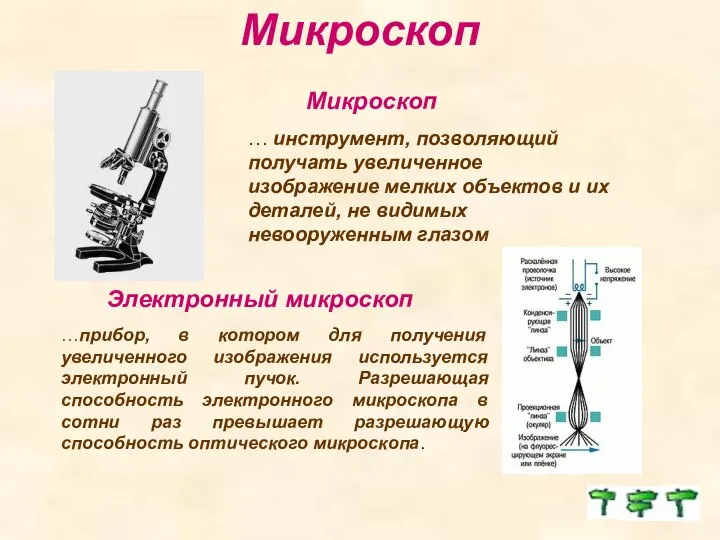 Микроскоп Электронный микроскоп …прибор, в котором для получения увеличенного изображения используется