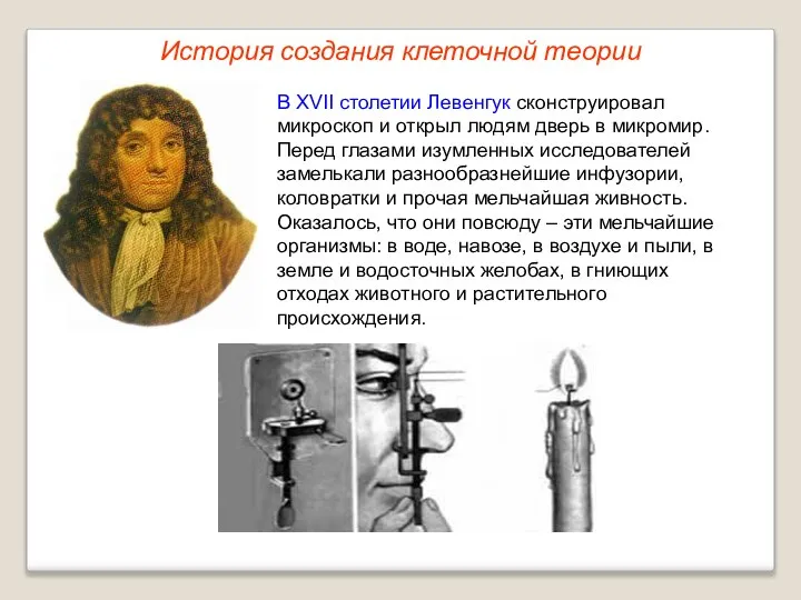 В XVII столетии Левенгук сконструировал микроскоп и открыл людям дверь в