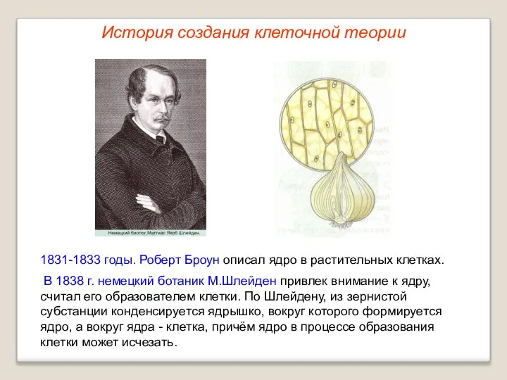 1831-1833 годы. Роберт Броун описал ядро в растительных клетках. В 1838