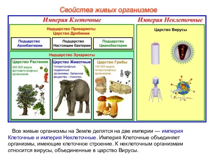 Все живые организмы на Земле делятся на две империи — империя